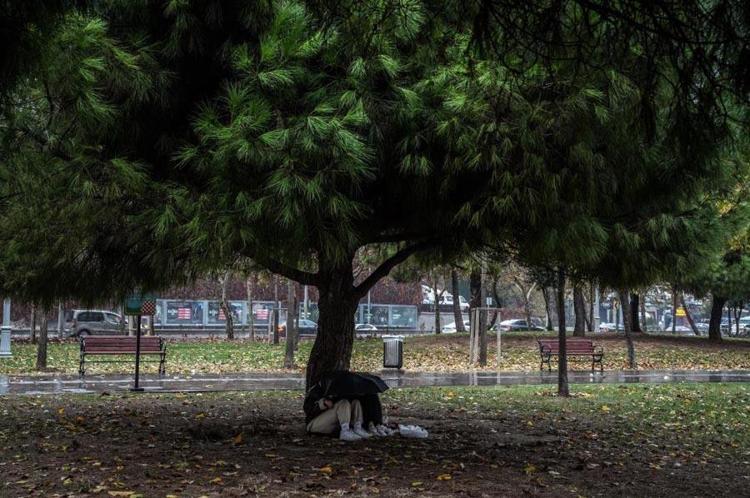GÜNEYDOĞU ANADOLU