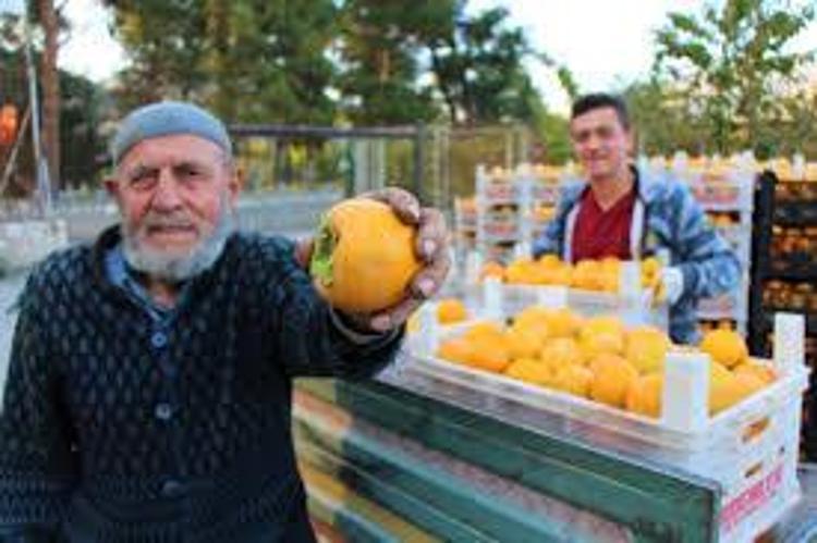 DAMARLARI GENİŞLETİYOR