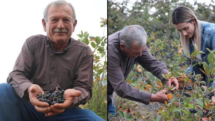 Eşi için başladı, şimdi siparişlere yetişemiyor Satış rekoru kırıyor: Kilosu 500 TLden başlıyor