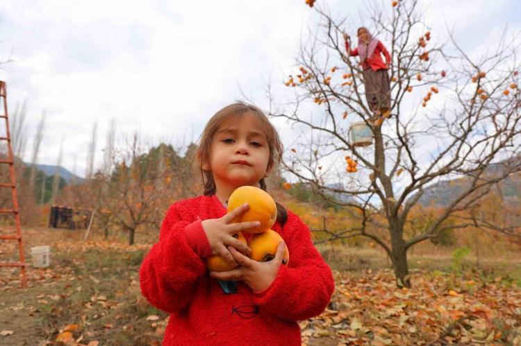 Bahçede 25, markette kilosu 80 lira Vücudu demire doyuruyor, bağırsakları motor gibi çalıştırıyor