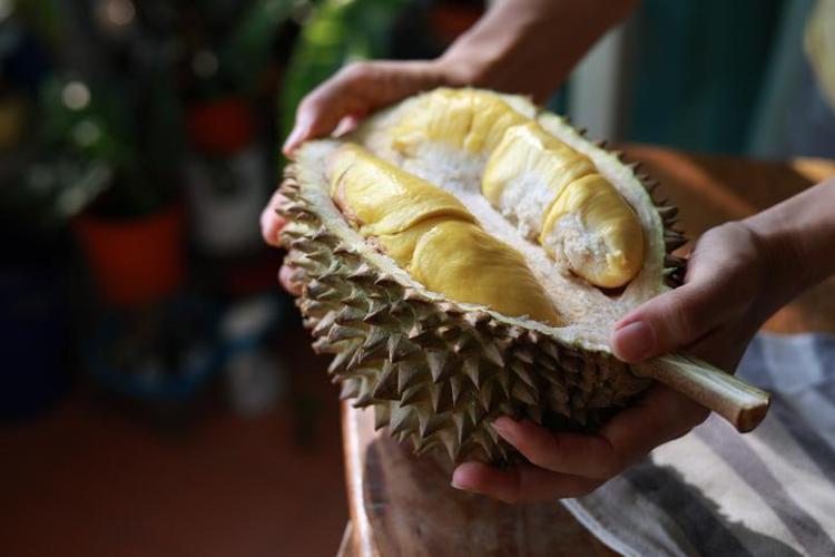 DURIAN MEYVESİNİN FAYDALARI NELERDİR