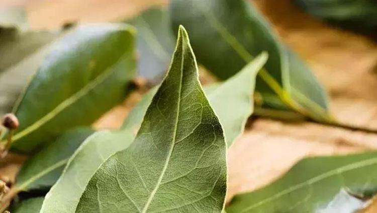 RAHATLATICI AROMA TERAPİSİ