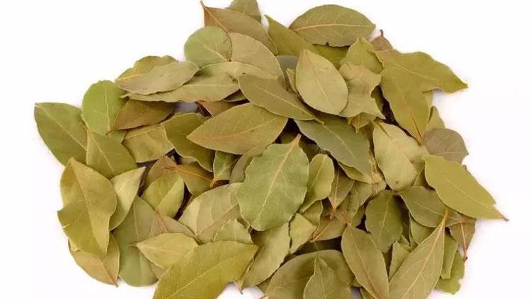 BÜTÜNSEL DETOKS ETKİSİ