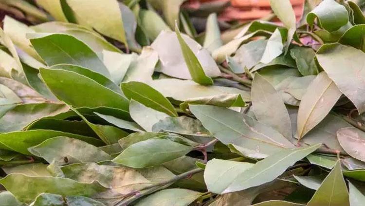 CİLT DOLAŞIMINI HIZLANDIRMA