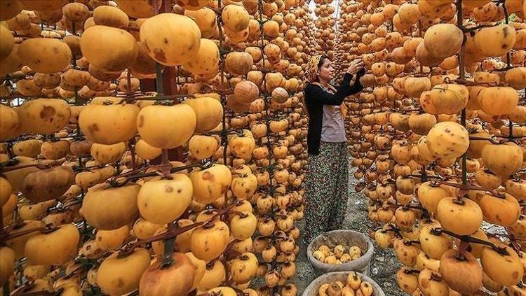 10 kutu antibiyotik gücünde Bağırsaklardaki toksinleri 1 saatte dışarı atıyor: Vücudu zinde tutup enerji veriyor
