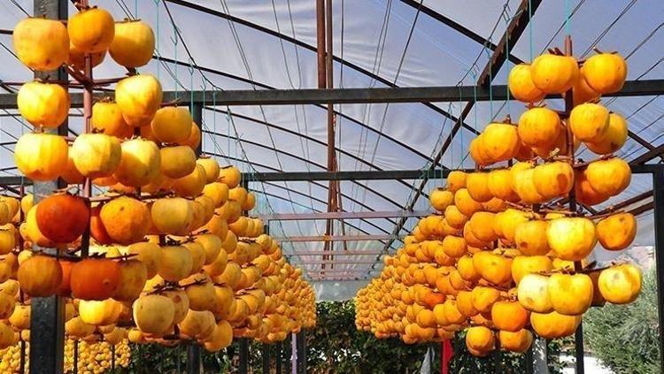 10 kutu antibiyotik gücünde Bağırsaklardaki toksinleri 1 saatte dışarı atıyor: Vücudu zinde tutup enerji veriyor