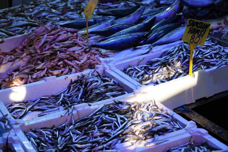 Kilosu 80 TLye düştü Omega-3 depolarını fullüyor: Kemikleri betona çeviriyor, kolesterolün kökünü kazıyor