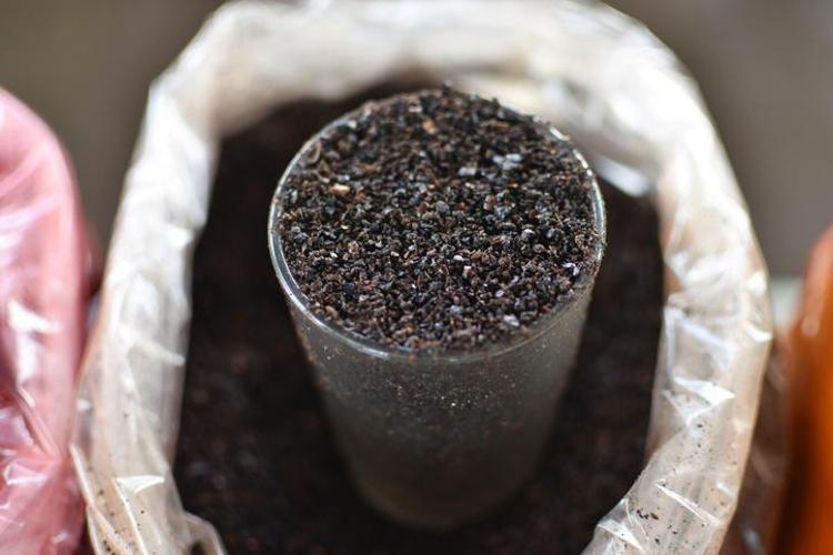 BAĞIŞIKLIK SİSTEMİNİ GÜÇLENDİRME