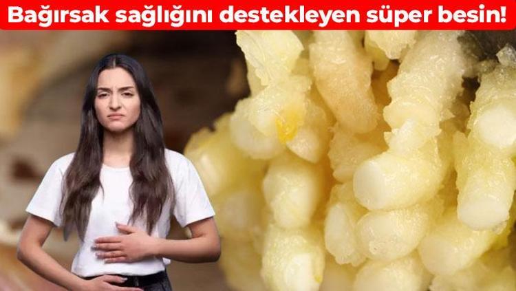 Bağırsakları baştan aşağı yeniliyor Probiyotik zengini besin: Sindirimi kolaylaştırıyor, zararlı mikroorganizmaları engelliyor