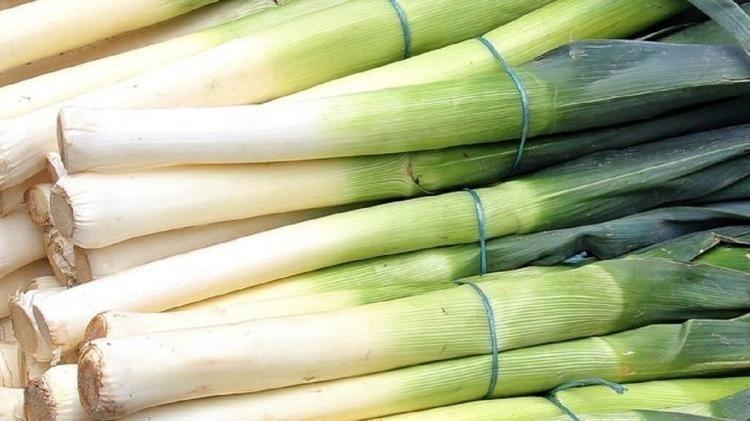 LİF DOLU, BAĞIRSAK DOSTU