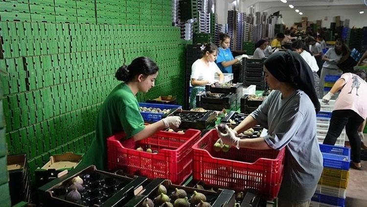 ANTİOKSİDAN ZENGİNİDİR