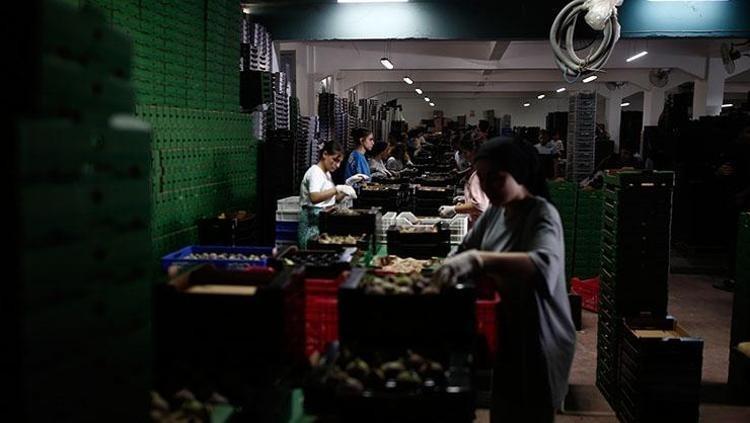 BAĞIRSAKLARI MAKİNE GİBİ ÇALIŞTIRIR