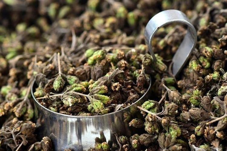 İbrahim Saraçoğlundan sigarayı unutturan tarif Yudum yudum içince nikotin isteğini baskılıyor, akciğerleri temizleyip mikropların kökünü kazıyor Doğal kalp ilacı
