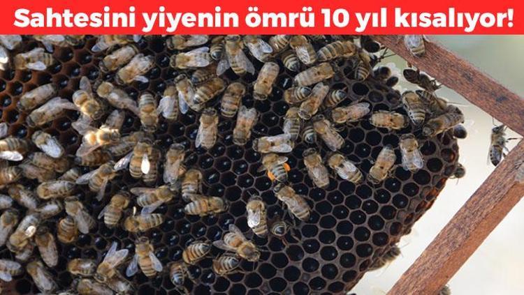 Sahtesi damakta acı bir tat bırakıyor Yiyenlerin ömründe 10 yıl götürüyor: Balya balya para dökmeden önce iki kez düşünün, insülin direncini zirveye çıkarıyor