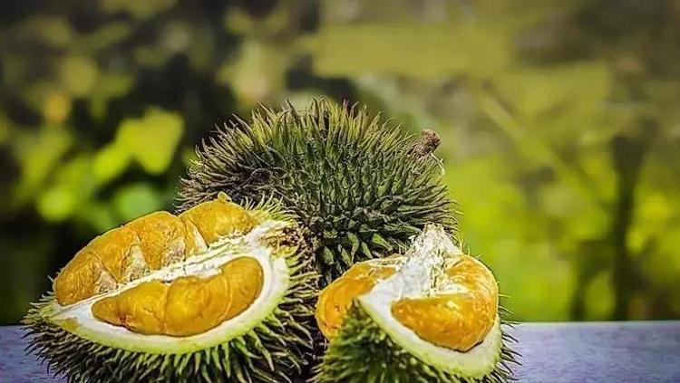 ZENGİN BESİN DEĞERLERİYLE SAĞLIK KAYNAĞI
