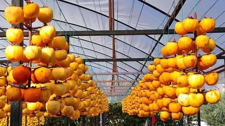 Pazarda gören torba torba alıyor Tıkanan bağırsakları makine gibi çalıştırıyor, yeni doğmuş gibi tertemiz yapıyor