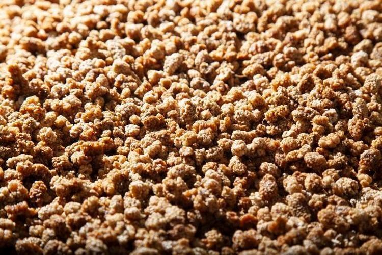 Padişahların doğal şeker ilacı Egzamanın en doğal çaresiymiş, tıkalı damarları yağ çözücü gibi açıyor İbrahim Saraçoğlunun da favorisiymiş