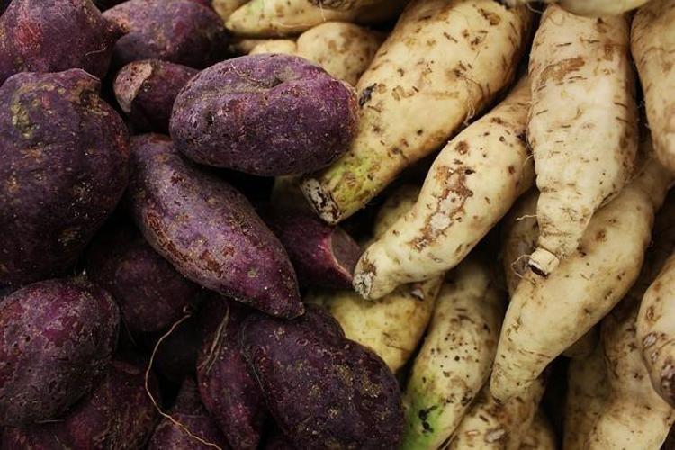 Japonların uzun yaşam sırrı keşfedildi: Yiyen 100 yaşını görmeden ölmüyor B6 ve C vitamini zengini, cildi de gençleştiriyor