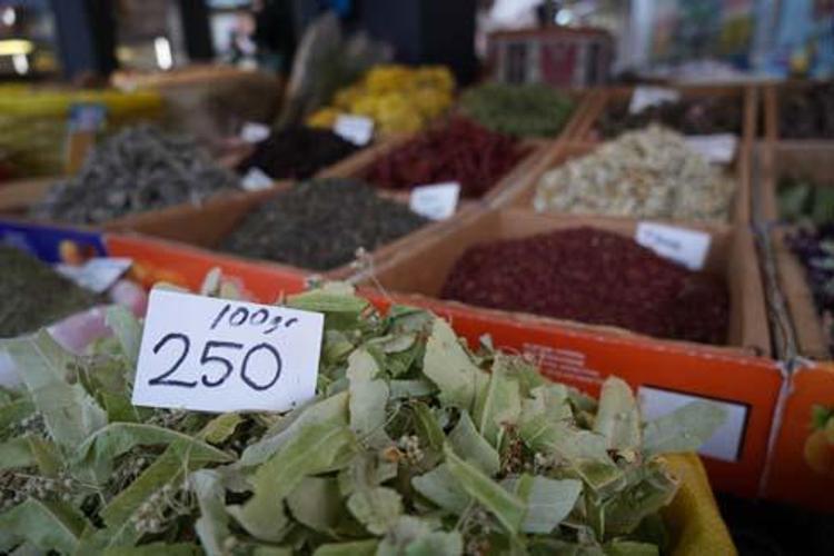 “IHLAMURUN KİLOSU ÇEŞİDİNE GÖRE 1,5 BİN TL YA DA 2,5 BİN TL’YE SATILIYOR”