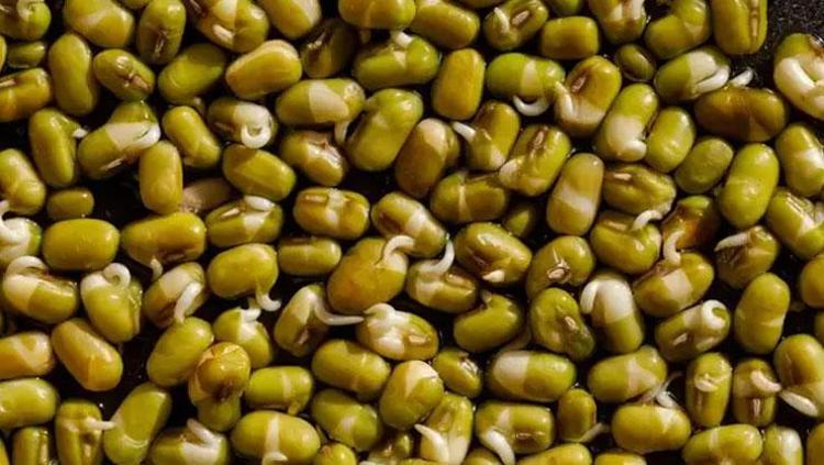 KAN ŞEKERİ DÜZENLEMESİ