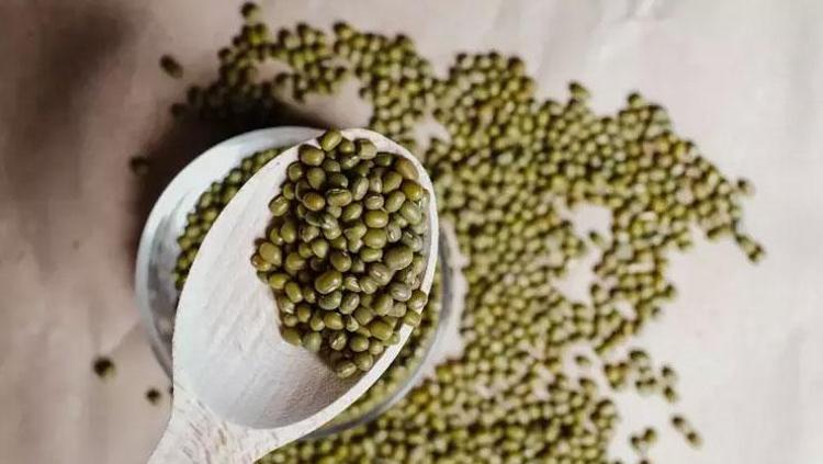 MAŞ FASULYESİNİN PROTEİN KAYNAĞI OLARAK FAYDALARI