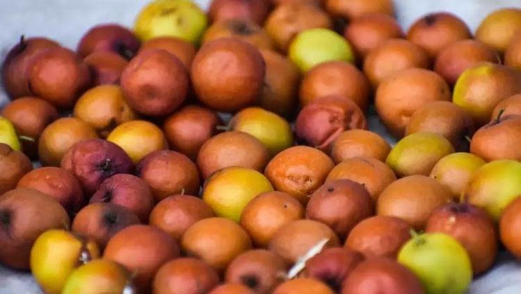 DÜŞÜK KALORİ YÜKSEK LİF