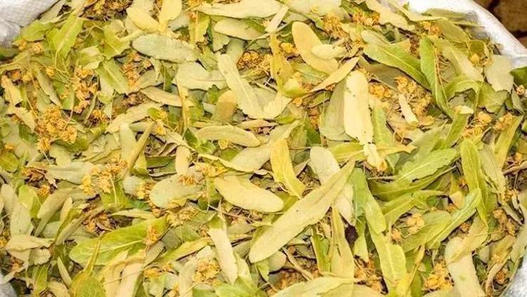 Basura en doğal çözüm olarak biliniyor Kalbi koruyup damarları genişletiyor: 1 kaşık balla karıştırıp bardak bardak için