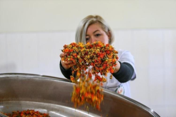 İbrahim Saraçoğlu ısrarla öneriyor Tırnak mantarını tarihe gömüyor, iltihabın kökünü kazıyor Akşam yemeğinden 2 saat sonra 1 bardak için