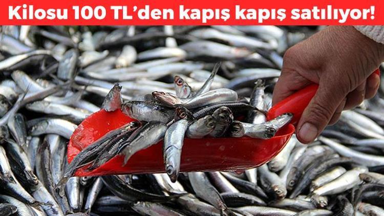 Tezgahta fiyatı yarı yarıya düştü Almak isteyenler kuyruğa giriyor: Dünyanın en güçlü omega-3 kaynağı, kolesterolü damardan kazıyor