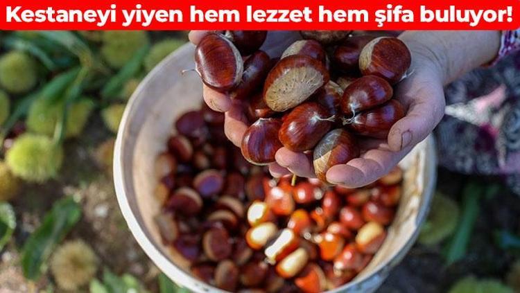 Kestane kebap yemesi sevap 100 gramı magnezyum deposu: Lif içeriğiyle sindirim sistemini motor gibi çalıştırıyor