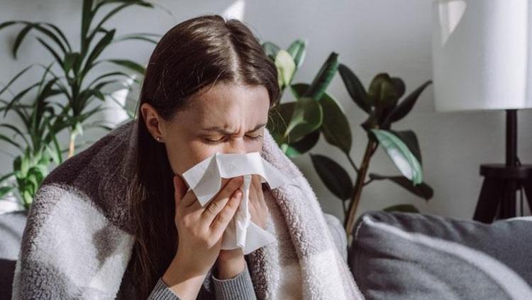 Kış meyvelerinin en faydalısı Pazarda, markette gören alıyor: Vücuda C vitamini yüklüyor, böbrek taşını engelliyor, iştahı bıçak gibi kesiyor