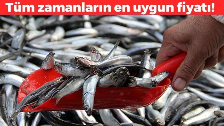 Tüm zamanların en düşük fiyatını gördü Bir parça limonla pişirince etkisi 50 kat artıyor Dünyanın en zengin omega-3 kaynağı