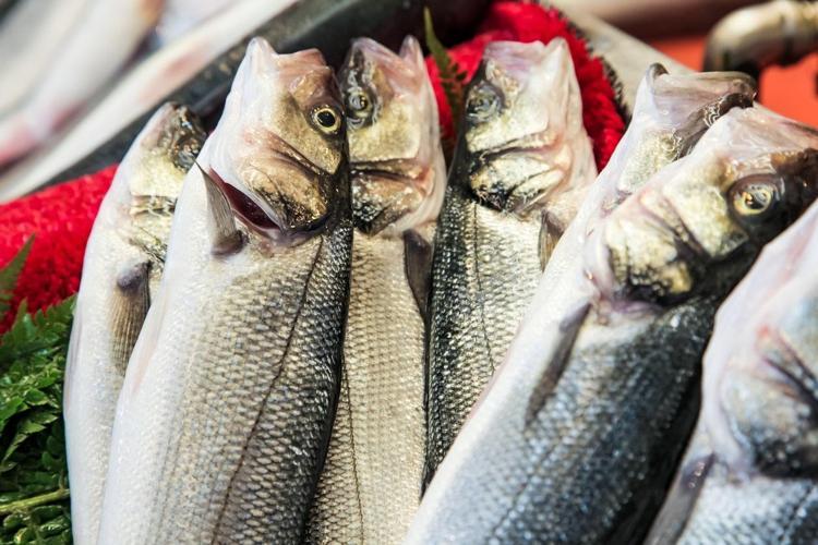 Tüm zamanların en düşük fiyatını gördü Bir parça limonla pişirince etkisi 50 kat artıyor Dünyanın en zengin omega-3 kaynağı