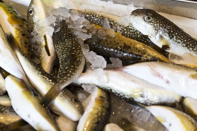 Tüm zamanların en düşük fiyatını gördü Bir parça limonla pişirince etkisi 50 kat artıyor Dünyanın en zengin omega-3 kaynağı