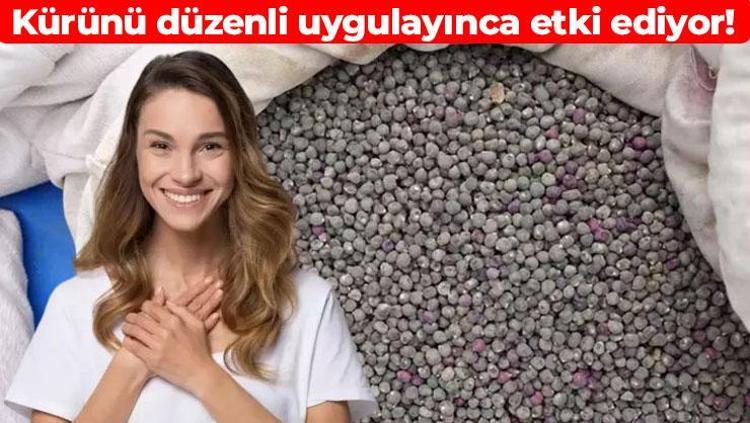 Pazardan alıp suda bekletin Sabah aç karna için: Sindirim sistemini derin uykudan uyandırıp bağırsakları çalıştırıyor