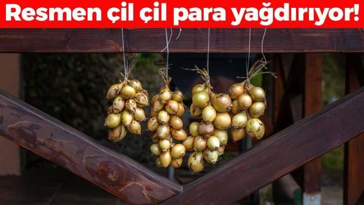 Yılbaşı gecesi kapınızın önüne 1 tane koyun Anında para mıknatısına çeviriyor, aşk, şans, bolluk ve bereket enerjisini çekiyor