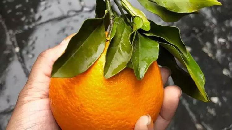 CİLDİNİZİ GÜNEŞE KARŞI KORUR