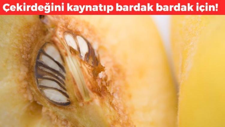 Çekirdeğini kaynatıp her gün 1 bardak için Safra kesesi ve karaciğere format atıyor: Kolesterolü damardan kazıyıp atıyor