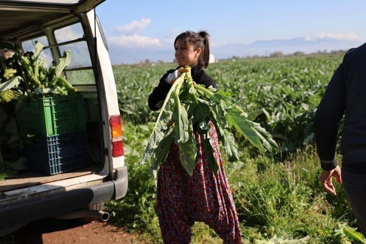 Türkiyenin Yeşil altını tanesi 20 liradan satılıyor, karaciğeri baştan yaratıyor