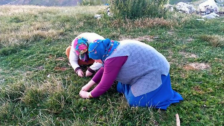 KANSERE KARŞI KORUYUCU ETKİLER