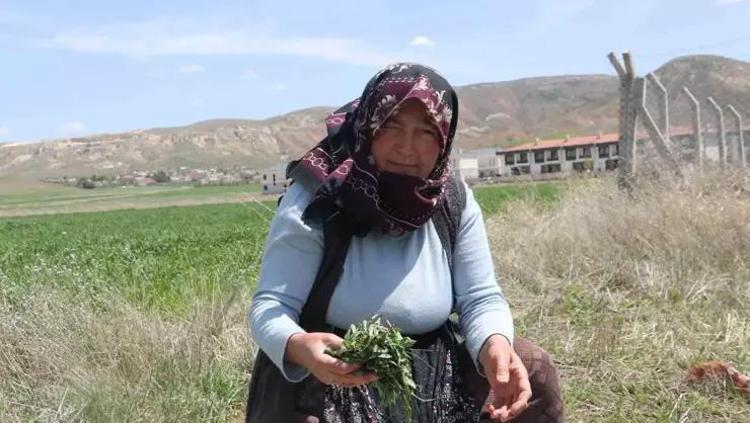 DENGELİ KAN ŞEKERİ SEVİYELERİ