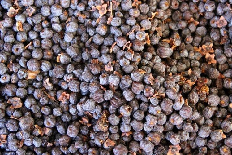 BAĞIŞIKLIĞI ÇELİK GİBİ YAPIYOR