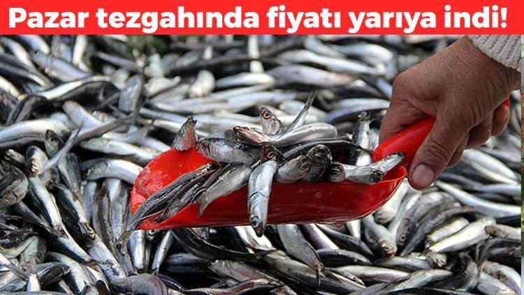 Fiyatı yere çakıldı Dünyanın en zengin Omega-3 kaynağı: Haftada 2 kez yiyenler 100 yaşına kadar yaşıyor: Kan basıncını dengeliyor