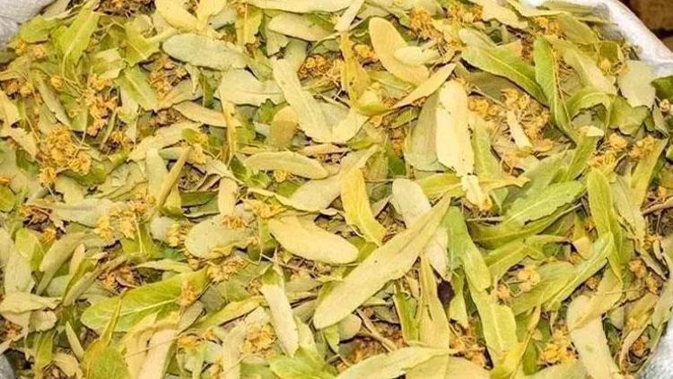 Uykuları bölen öksürüğe doğal çare Ihlamurun içine 1 kaşık ekleyin: Balgamı söküp atıyor, soğuk algınlığına meydan okuyor