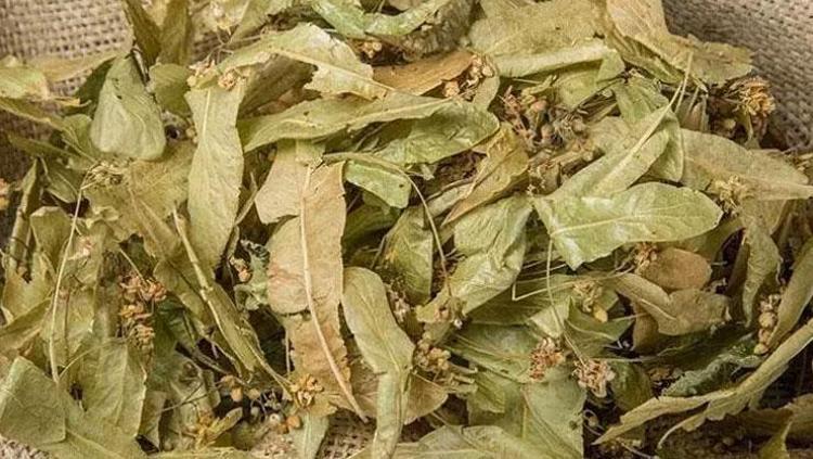Uykuları bölen öksürüğe doğal çare Ihlamurun içine 1 kaşık ekleyin: Balgamı söküp atıyor, soğuk algınlığına meydan okuyor
