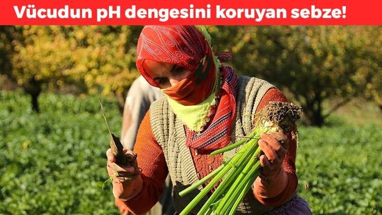 Yoğurt ve mayonezle karıştırın Vücudun pH dengesini koruyor: İnflamasyonu azaltıyor