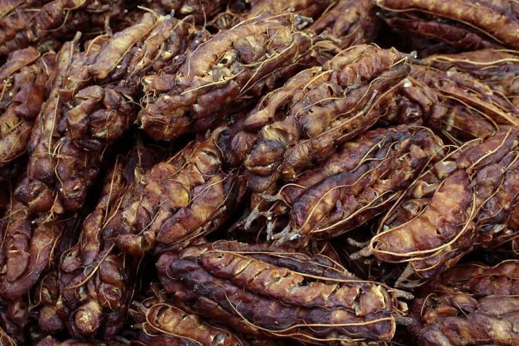 DİYABETİ KONTROL ALTINDA TUTAR