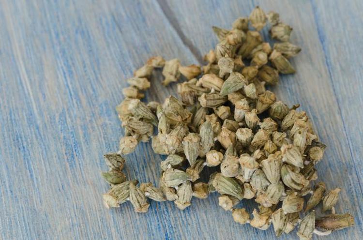 BAĞIŞIKLIK SİSTEMİNİ GÜÇLENDİRİR