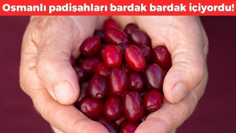 Türklere miras kaldı Padişahların sırrı bu tarifte gizli: Kan şekerini sıfırlıyor: Kolesterolü damardan çamaşır suyu gibi temizliyor