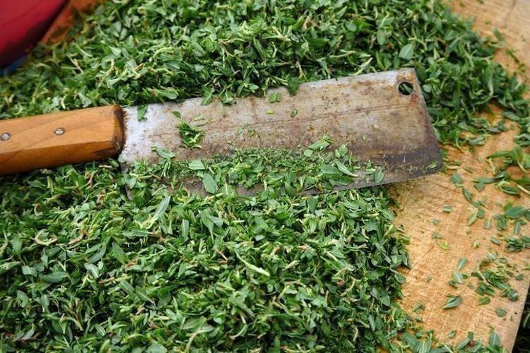 Kaşık kaşık yiyin, cilde içten kolajen yükleyip tek gecede 10 yaş gençleştiriyor güneş lekelerini de silgi gibi siliyor